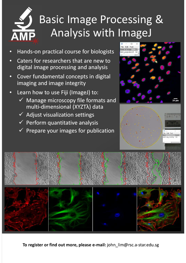 ImageJ Training