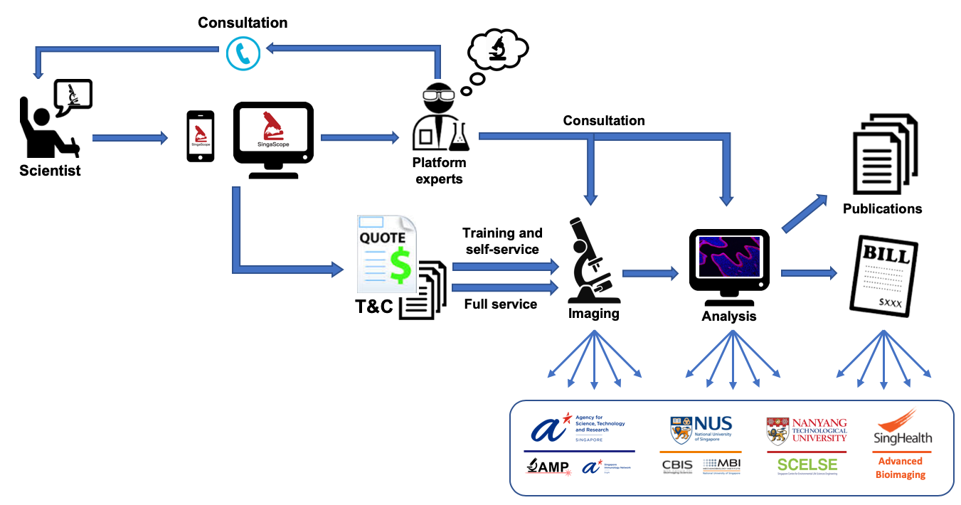 SinaScope_Workflow_Transparent_bottom