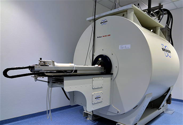 IBB Bioimaging