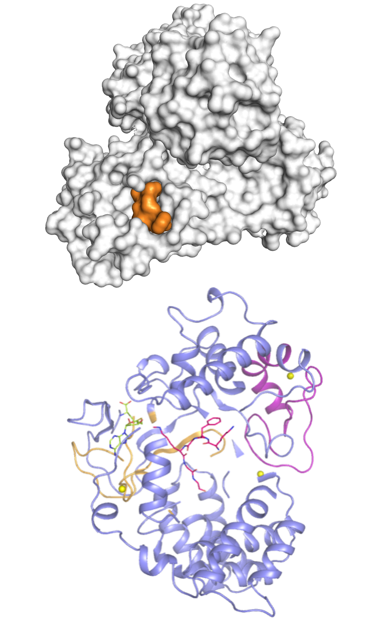 PSB Structures Composite