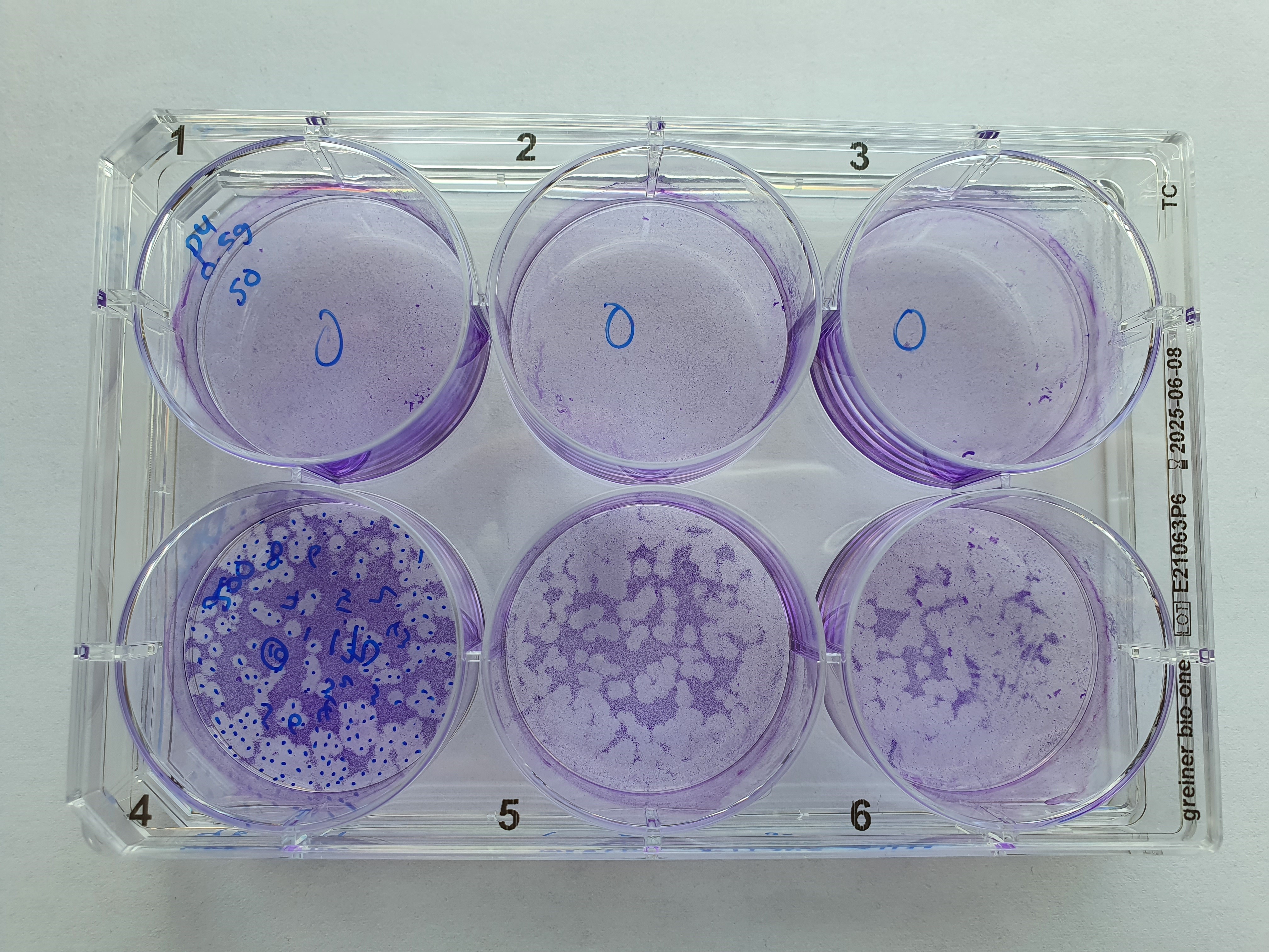 Yugen_Lab_antimicrobial materials