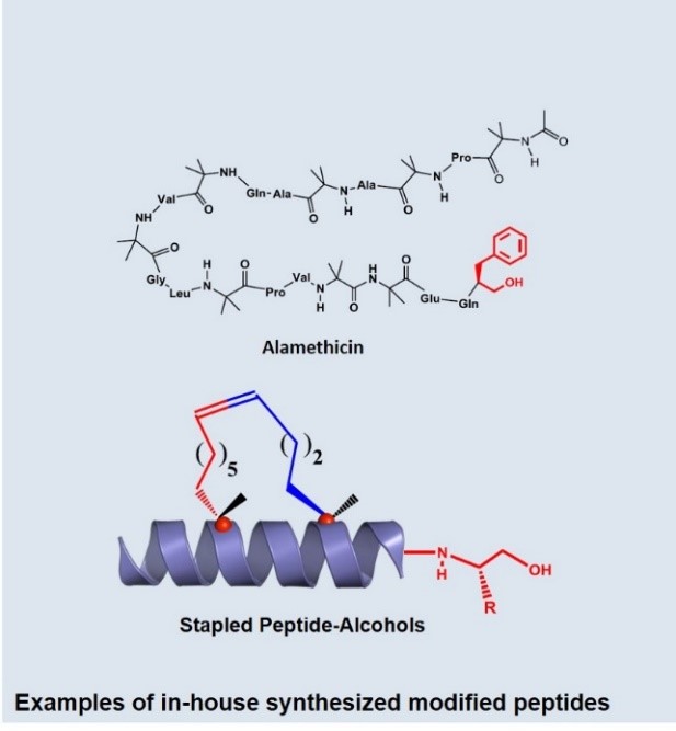 Peptide synthesis picture 1