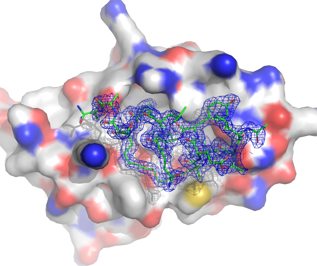 Peptide synthesis picture 2