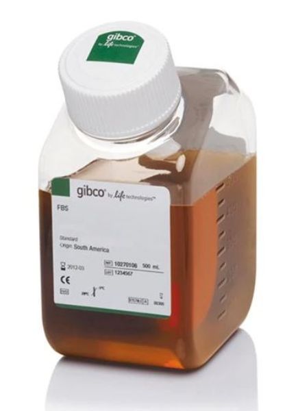 Picture of Foetal Bovine Serum, Qualified (South American Origin)