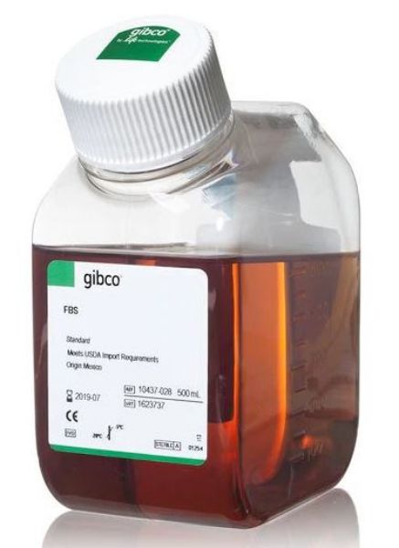 Picture of Fetal Bovine Serum, Qualified (USDA-approved)
