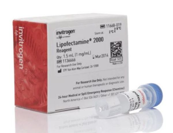 Picture of Lipofectamine 2000 Transfection Reagent (1.5ml)