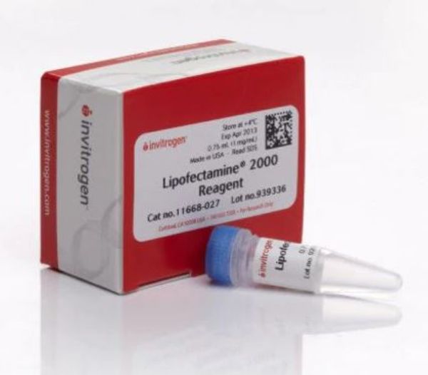 Picture of Lipofectamine 2000 Transfection Reagent 0.75ml
