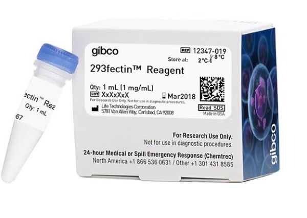 Picture of 293fectin Transfection Reagent 1m