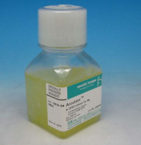 Picture of Accutase, 100ml