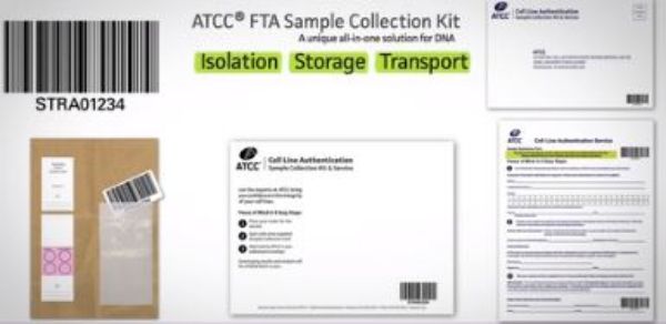 Picture of CLA / STR SERVICE KIT