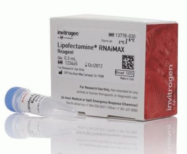 Picture of Lipofectamine RNAiMAX Transfection Reagent (0.3ml)