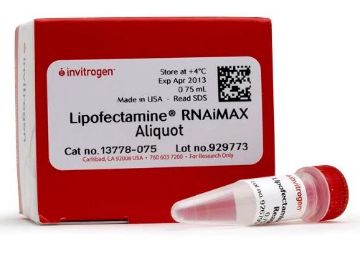 Picture of Lipofectamine RNAiMAXTransReagent 0.75m