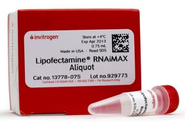 Picture of Lipofectamine RNAiMAXTransReagent 0.75m