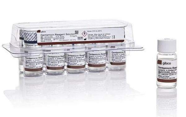 Picture of Gentamicin (10 mg/mL)