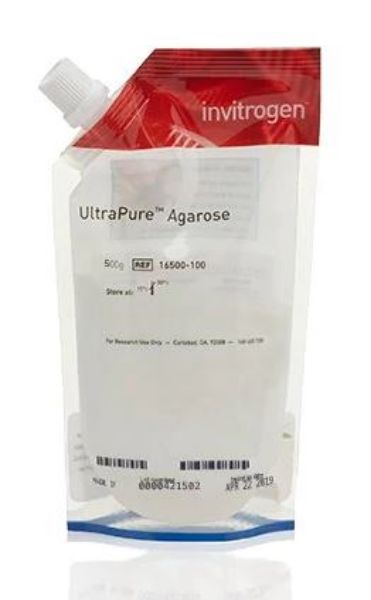 Picture of UltraPure Agarose. 500g