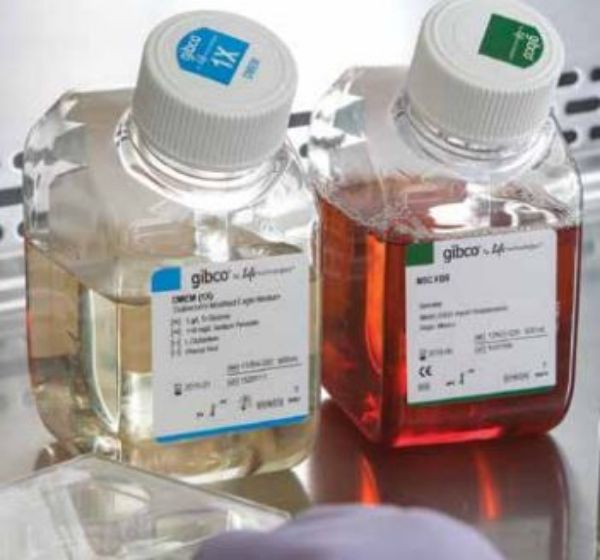 Picture of Newborn Calf Serum Heat Inact, 500ml
