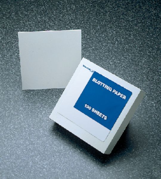 Picture of Blotting Paper 10 x 15cm