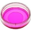 Picture of 35mm Glass Bottom Petri Dish, Thickness no. 1 (0.13-0.16mm)