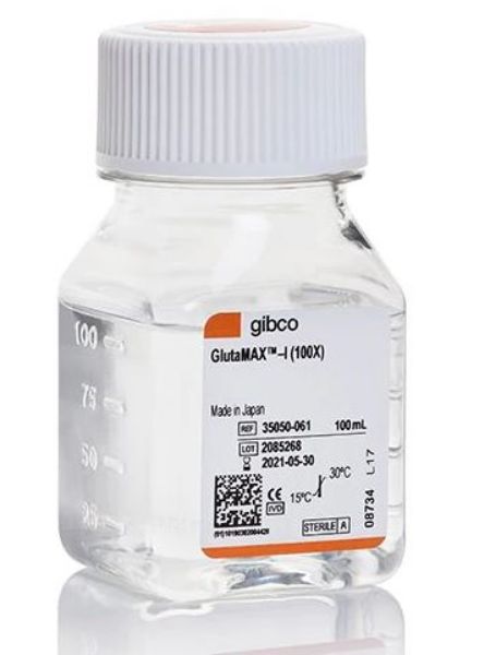 Picture of GlutaMAX Supplement