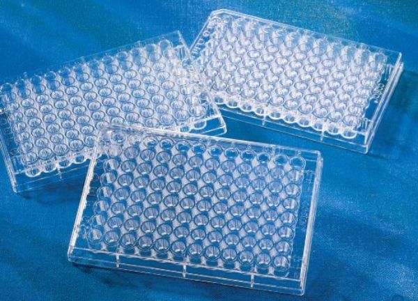Picture of Corning (280-330uL) Plate, 96-Well, TC-Treated, Polystyrene, U-Bottom, Sterile, Clear