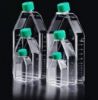 Picture of SPL (25mL) Flask, 75cm^2, Treated, Polystyrene, Angled Neck, Sterile, Filter HDPE Cap