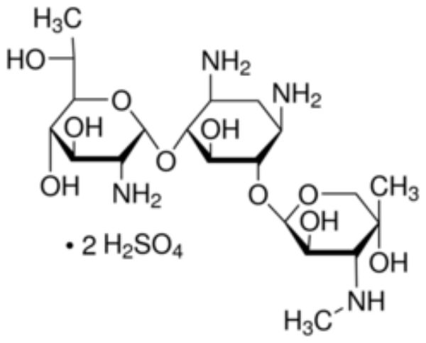 Picture of G418 disulfate salt, powder, non-animal origin, suitable for cell culture, BioReagent