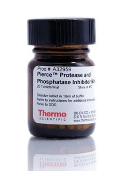 Picture of Protease and Phosphatase Inhibitor Mini Tablets (20 tablets)