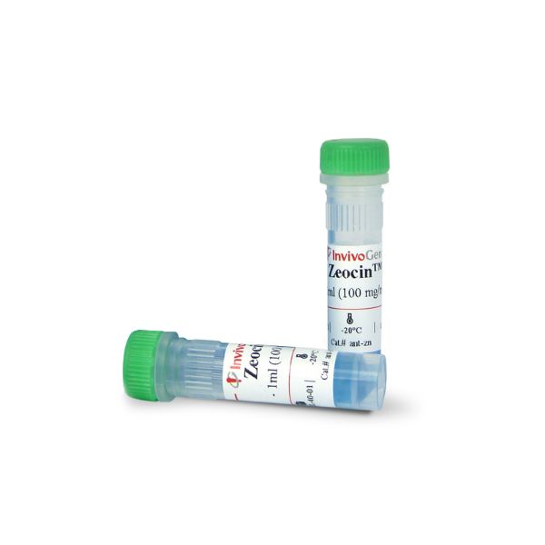 Picture of Zeocin® (solution)~1g (10 x 1 ml)