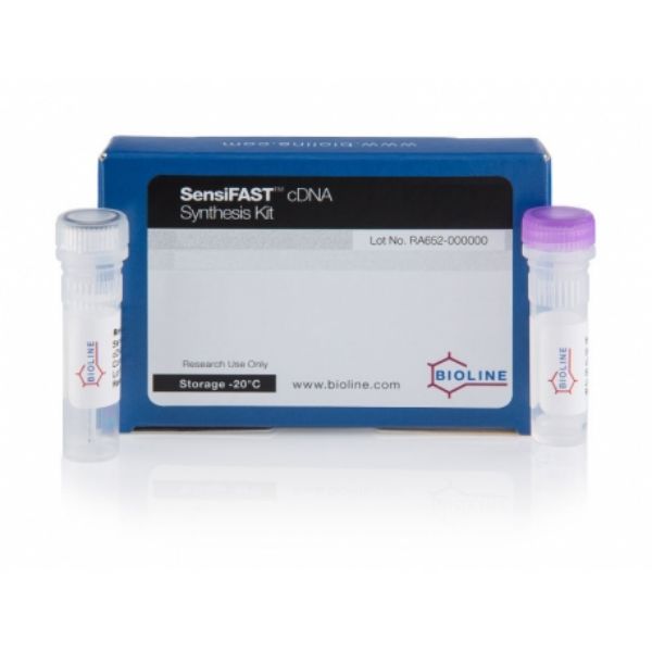 Picture of SensiFAST cDNA Synthesis Kit 250 rxns