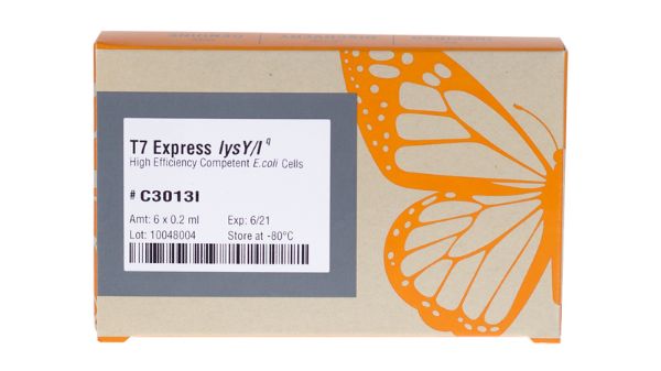 Picture of T7 Express lysY/Iq Competent E.coli (High Efficiency)