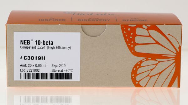Picture of NEB 10-beta Competent E.coli (High Efficiency)