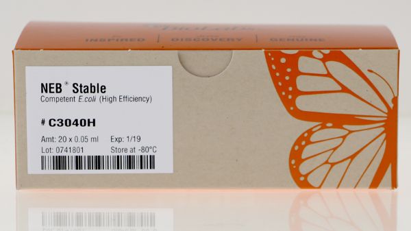 Picture of NEB Stable Competent E.coli (High Efficiency)