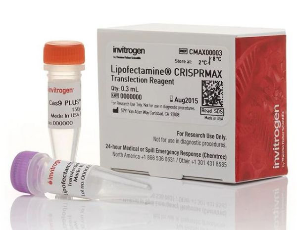 Picture of Lipofectamine CRISPRMAX Cas9 Transfection Reagent 25 reaction