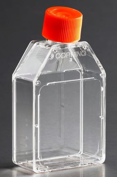 Picture of Corning - Flask, 25 cm^2, Treated, PS, Rectangular, Canted Neck, 50mL, Sterile