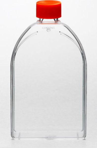 Picture of Corning - Flask, 150 cm^2, Treated, PS, Rectangular, Canted Neck, 600mL, Sterile