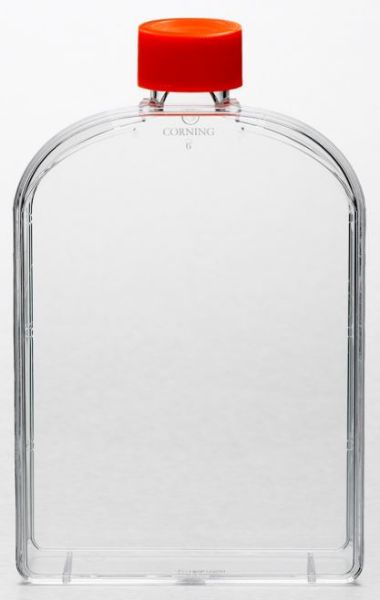 Picture of Corning - Flask, 175 cm^2, Treated, PS, Rectangular, Angled Neck, 250mL, Sterile