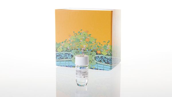 Picture of FuGENE 6 Transfection Reagent 1m