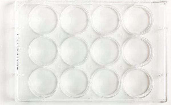 Picture of Fisher - Plate, 12-Well, TC-Treated, PS, F-Bottom, 6.8mL, Sterile, Clear 