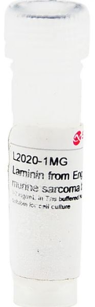 Picture of Laminin (1mg)