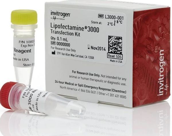 Picture of Lipofectamine 3000 Transfection Reagent (0.75ml)