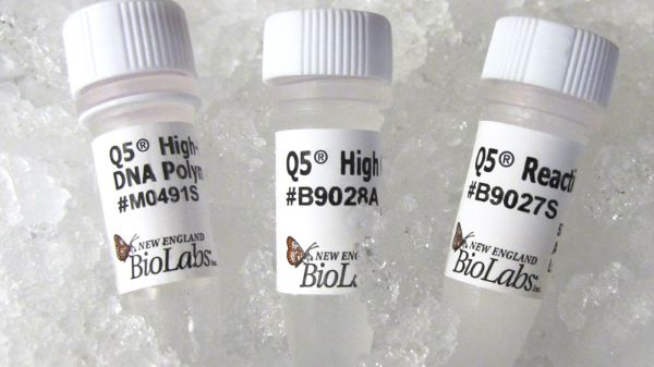 Picture of (L) Q5 High-Fidelity DNA Polymerase