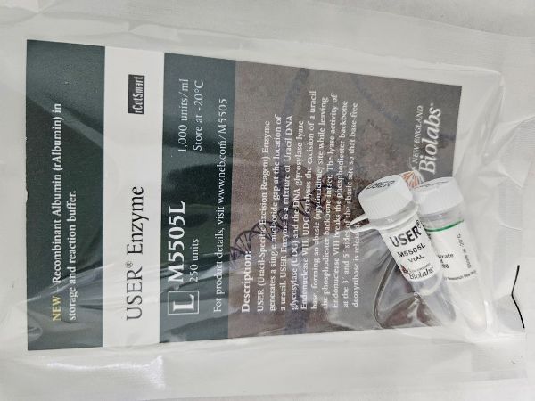 Picture of (L) USER Enzyme