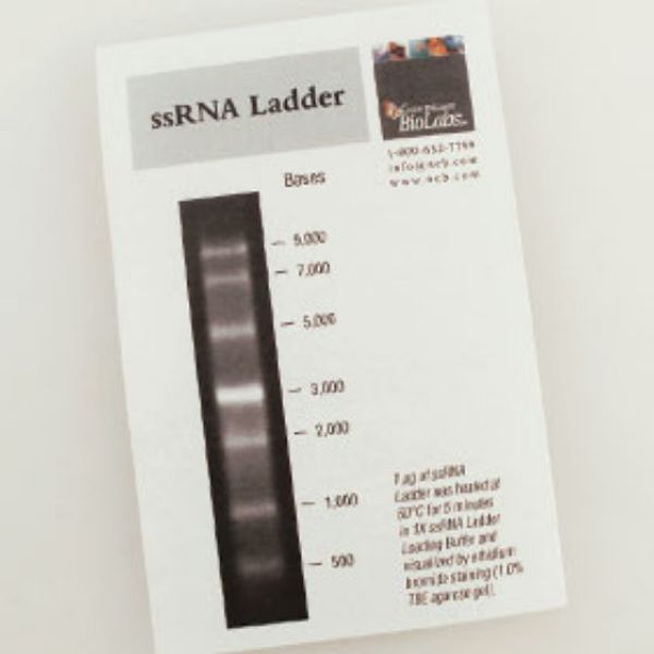 Picture of (S) ssRNA LAD