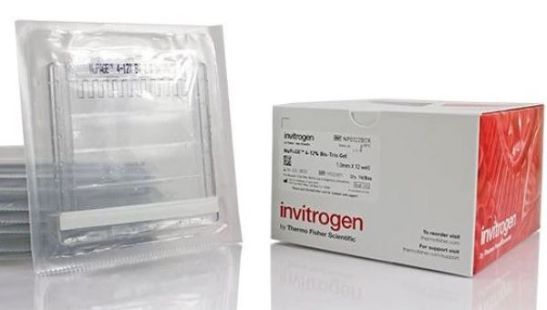 Picture of 4-12% Bis-Tris Protein Gels 1mm 10 well