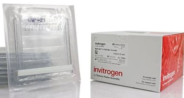 Picture of 4-12% Bis-Tris Protein Gels 1mm 15 well