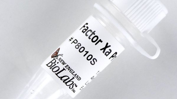Picture of (S) Factor Xa Protease