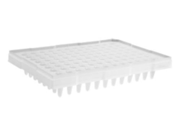 Picture of Axygen - Plate, 96-Well, Not-Treated, Polypropylene, Flat Top, 200uL, Non-Sterile, Semi skirted with elevated skirt
