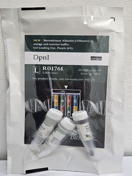 Picture of (L) DpnI