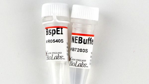 Picture of (S) BspEI