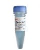 Picture of Zeocin
